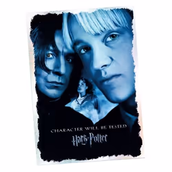 Panini HARRY POTTER - LE MANUEL DU SORCIER Coffret Stickers (1 album cartonné + 16 pochettes + 2 cartes édition limitée), Gar ...
