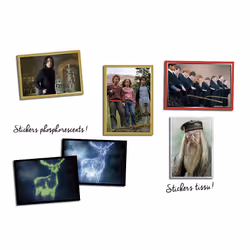 Panini HARRY POTTER - LE MANUEL DU SORCIER Coffret Stickers (1 album cartonné + 16 pochettes + 2 cartes édition limitée) - Vue supplémentaire 5