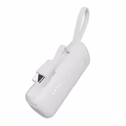 PURO PUFCBB50C1USBCWHI banque d'alimentation électrique 5000 mAh Blanc