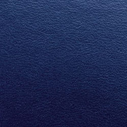GBC Plats de couvertureRegency A4 bleu (100)