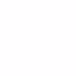 GBC Couvertures reliure HiGloss 250g/m² simple face, blanc (100), Blanc, 210 mm, 299 mm, 33 mm, 100 pièce(s)