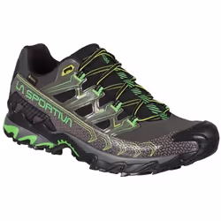 Sports Shoes Ultra Raptor Ii Gtx Mesh Gris