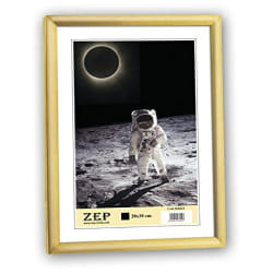 ZEP New Easy Cadre - Gold