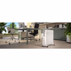 Olimpia Splendid Humi 13 Intérieure Blanc 2500W