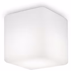 Cadre en aluminium moulé et fini avec des revêtements en poudre. Diffuseur en plastique opal. L 11 x H 13 x P 11 cm G9 max 1  ...