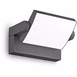 Lampe murale extérieure avec corps léger en aluminium enduit en poudre. Diffuseur réglable avec écran polycarbonate opal bril ...