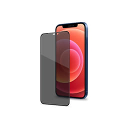 Celly PRIVACYF1006BK écran et protection arrière de téléphones portables Protection d'écran transparent Apple 1 pièce(s)