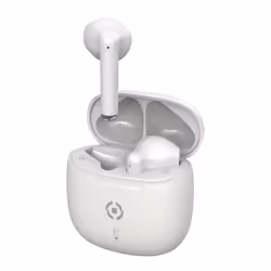 Celly BUZ2, True Wireless Stereo (TWS), Appels/Musique, 20 - 20000 Hz, 42 g, Casque, Blanc
