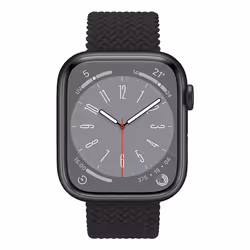 Celly WBANDBRAIDEDBK pièce et accessoire de montre Bracelet de montre
