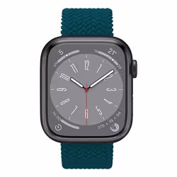 Celly WBANDBRAIDEDGN pièce et accessoire de montre Bracelet de montre