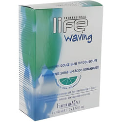 PERMANENTE CHEVEUX NATURELS NO 2 KIT