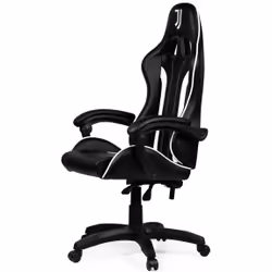 Take-Two Interactive SGPN0003 Siège pour jeu vidéo Fauteuil de gaming Siège rembourré Noir, Blanc