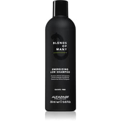 Alfaparf Milano Blends of Many Energizing 250 ml