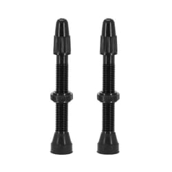 Paire de valve de pneu tubless demontable Vittoria Presta