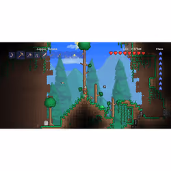 Re-Logic Terraria Standard Wii U
