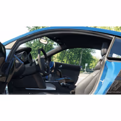 505 Games Assetto Corsa - Ultimate Edition, PlayStation 4, Tout le monde