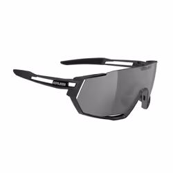 Lunettes de soleil Salice 029RW