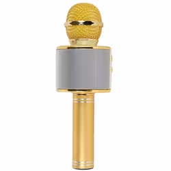 Xtreme Hollywood Or, Argent Microphone de karaoké