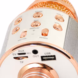 Xtreme Hollywood Or rose, Argent Microphone de karaoké - Vue supplémentaire 4