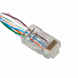 Link Accessori LKPL85I connecteur de fils RJ-45 Transparent