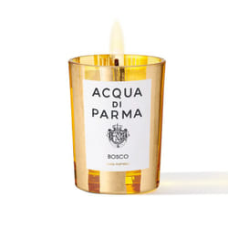 Acqua di Parma Bosco bougie en cire Rond Cèdre, Eucalyptus, Pin, Bois Or, Jaune 1 pièce(s)