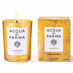 Acqua di Parma Caminetto bougie en cire Rond Baume, Bois de cachemire, Citron, Mandarin, Musc, Poivre, Bois de santal Jaune 1 pièce(s)