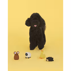 United Pets Happy Farm-Papera | Emma