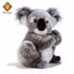 Peluche - PLUSH & COMPANY - KOLINE KOALA - 22 CM - Bébé Mixte