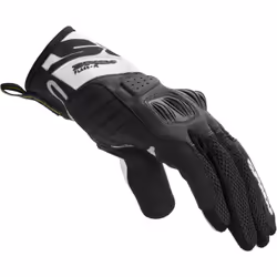 Spidi Flash-R Evo Gants de moto, noir-blanc, taille M pour Hommes