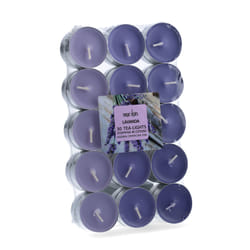 Magic Lights 8030650151106 bougie en cire Rond Lavande Violet 30 pièce(s)