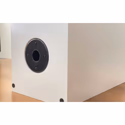 Empire Media HS-290 haut-parleur Noir, Blanc Avec fil 290 W