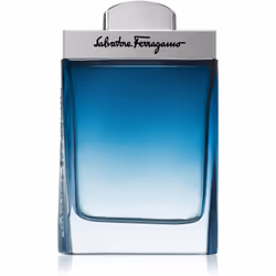 Salvatore Ferragamo Subtil 100 ml, Hommes, 100 ml