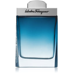 Salvatore Ferragamo Subtil 100 ml Hommes