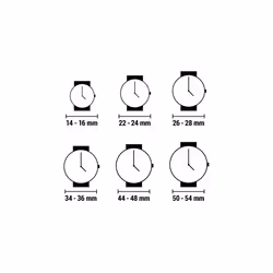 Montre Quartz Chronotech pour Femme CT7017L-08
