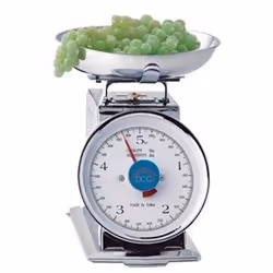 DCG Eltronic PWC1000, Balances de cuisine mécaniques, 5 kg, 20 g, Argent, Acier inoxydable, Foie
