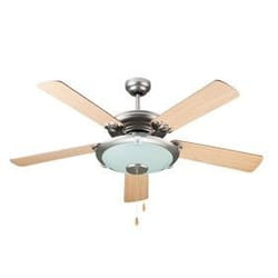 DCG Eltronic VE CRD50 TL ventilateur Argent