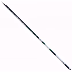 Lineaeffe Standard Master Pole 4.00 m - 5-25 g Canne à Pêche FIxe Mer Rivière Etang Carbone Télescopique
