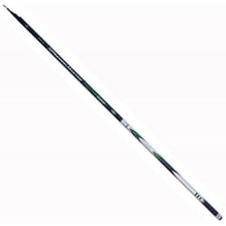 Lineaeffe Standard Master Pole 4.00 m - 5-25 g Canne à Pêche FIxe Mer Rivière Etang Carbone Télescopique
