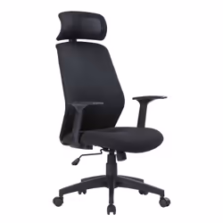 Serena Group W 177 K, Siège rembourré, Dossier grillagé, Noir, Noir, Tissu, Tissu