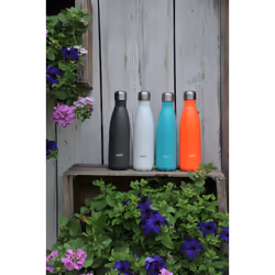 WD Lifestyle WD 365G 500 ml Gris Acier inoxydable
