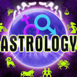 Black Bean Astrology Standard Nintendo DS