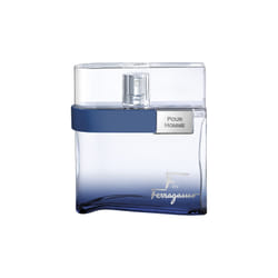 Salvatore Ferragamo "F" Free Time 100ml Hommes