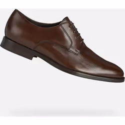 Geox modèle U Hampstead Marron