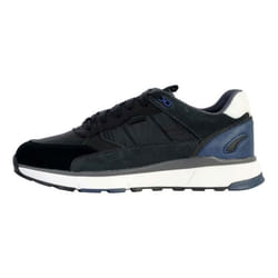 Basket Cuir Geox Dolomia