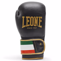 Gants de boxe Leone Italy