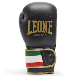 Gants de boxe Leone Italy