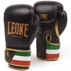 Gants de boxe Leone Italy