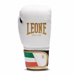 Gants de boxe Leone Italy