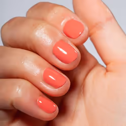 Mesauda Nail Pro MNP Living Coral vernis à ongles avec gel 10 ml Corail