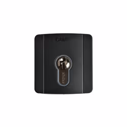 Selecteur a cles pour l'exterieur avec cylindre DIN Came SELD1FAG pour les applications 230 V AC.. Couvercle gris RAL 7024. C ...